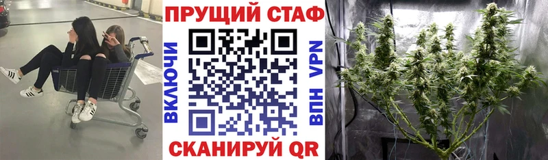 Галлюциногенные грибы Ахтырский