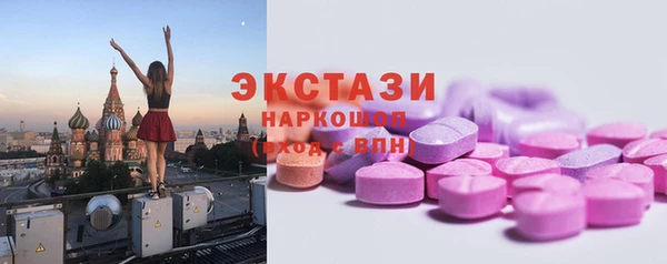 ECSTASY Богданович