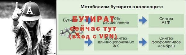 ECSTASY Богданович