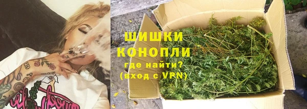 ECSTASY Богданович