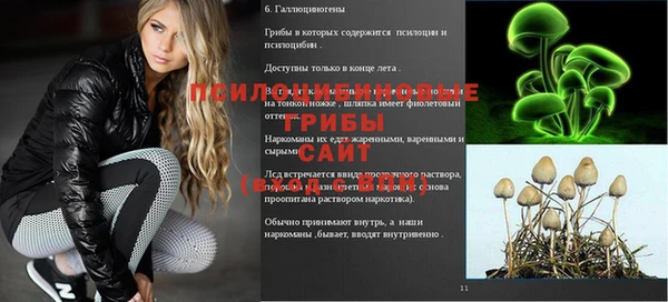 ECSTASY Богданович